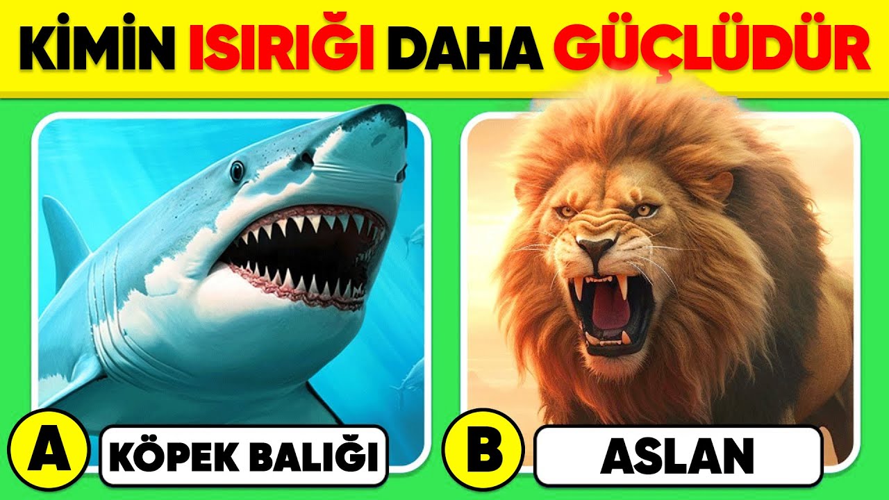 Hayvanları Ne Kadar İyi Tanıyorsun? 🦁🦈 Hayvan Bilgi Yarışması ✅ Hayvan Testi