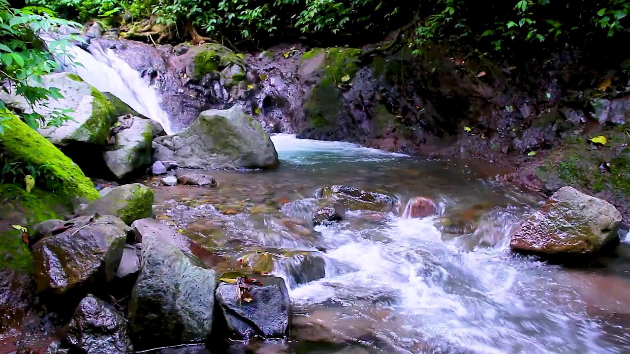 River White Noise for Deep Sleep | Natural Flowing Water for Restful Night