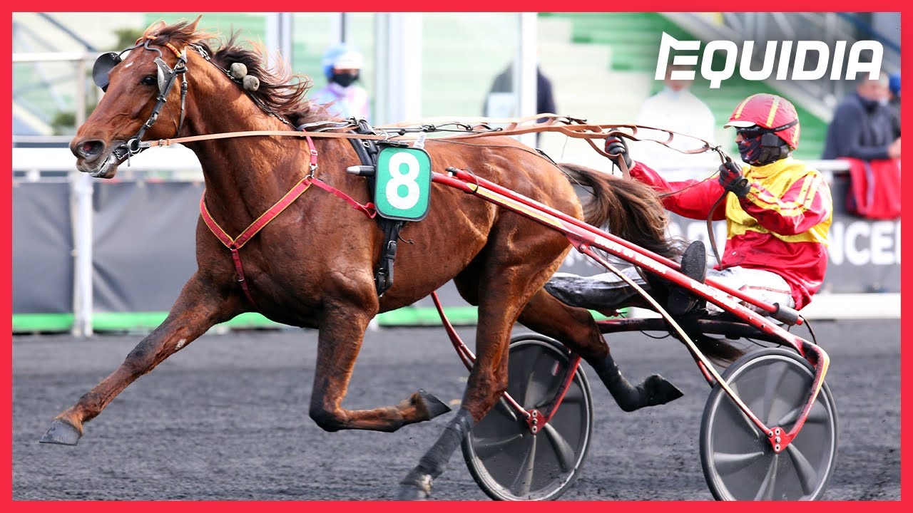 PRIX ROBERT AUVRAY | Gelati Cut | Groupe II | Vincennes