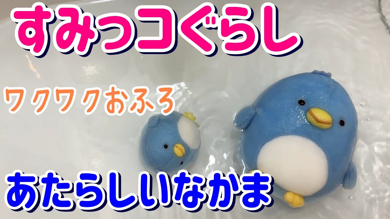 すみっコぐらし_あたらしいなかま_ほっこりな日_20260110
