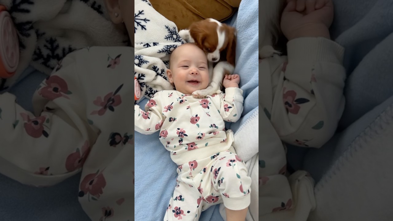 The love of puppies and babies ❤️ #baby #dog #funny #pets