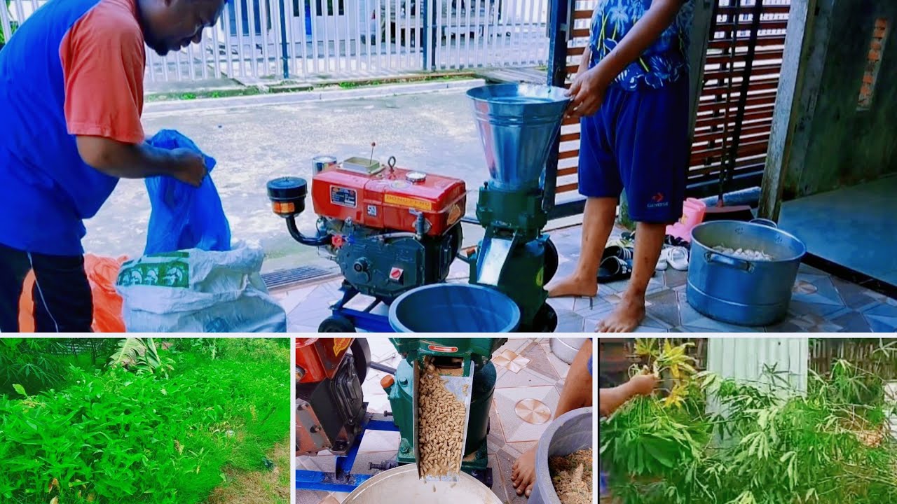 UJI COBA MESIN PENCETAK PELET DONG FHENG l CARA MEMBUAT PAKAN FERMENTASI