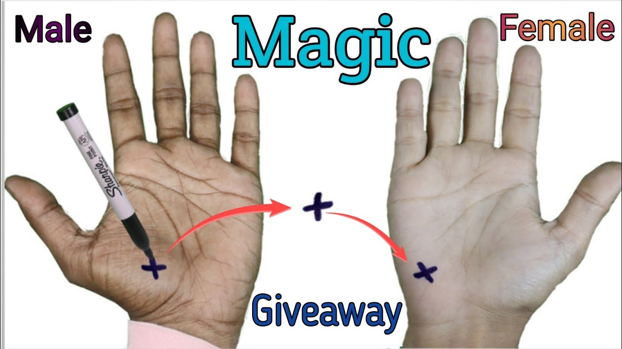 एक हाथ से दूसरे हाथ में जाने वाला स्याही || Double Cross Pen Magic in Indian