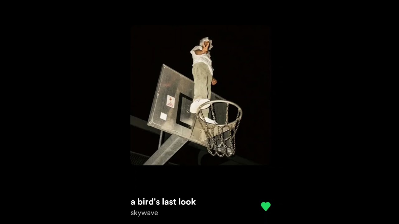 A bird's last look. The complete song.