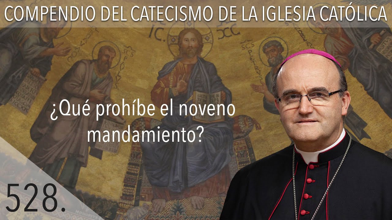 nº 528 ¿Qué prohíbe el noveno mandamiento?