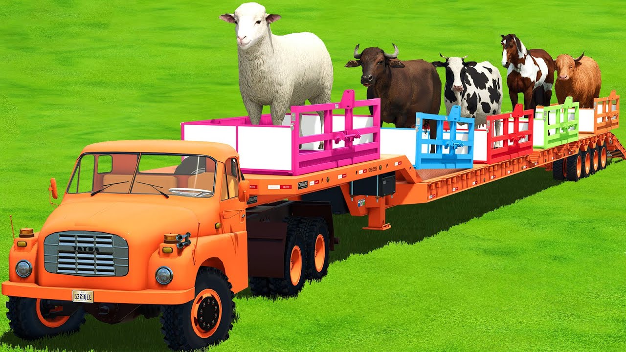 BUFFALO, HORSES, SHEEPS, COWS & GOATS TRANSPORT WITH TRACTORS & TRUCK - FS25