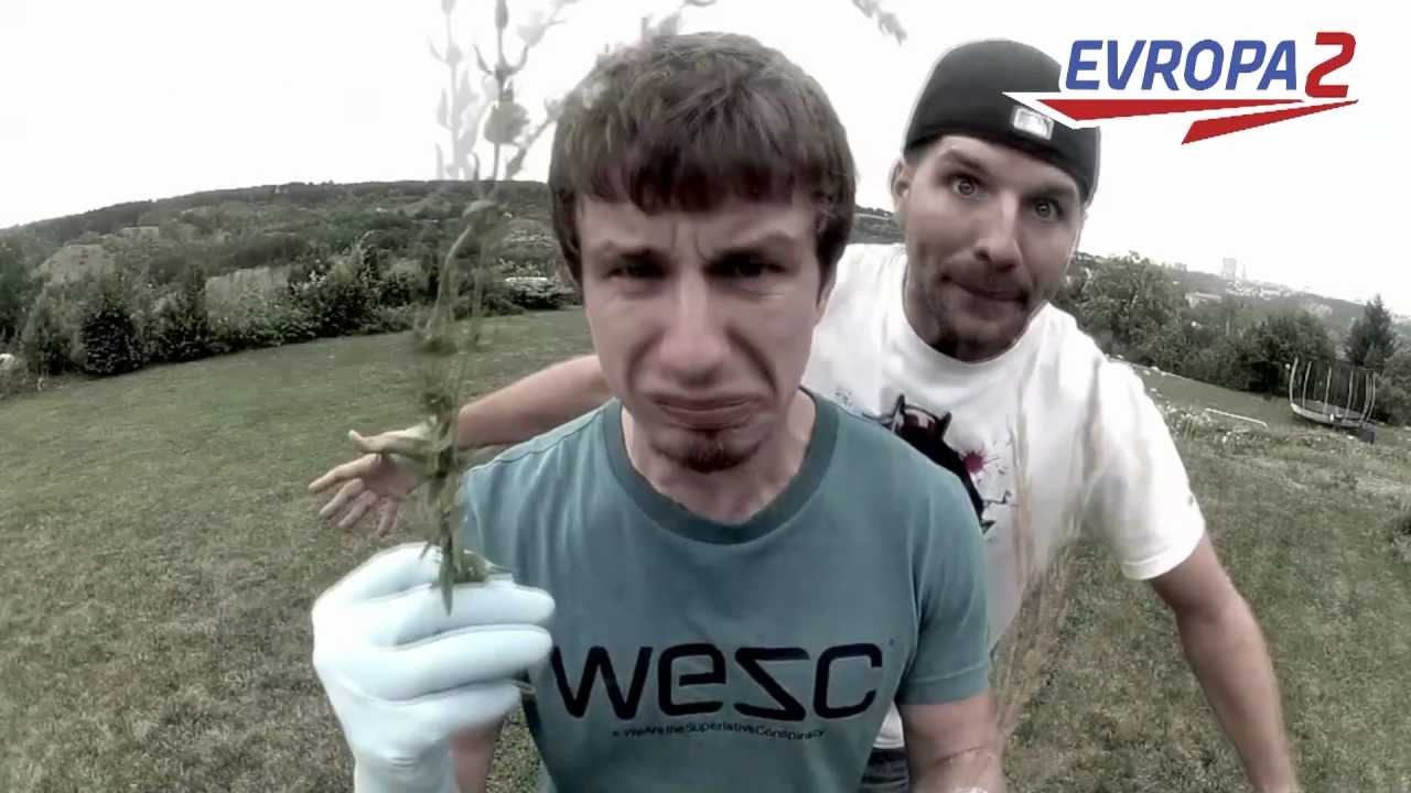 Nasty / En.dru - upravili Cypress Hill - Vysaj tady ten len - Evropa 2