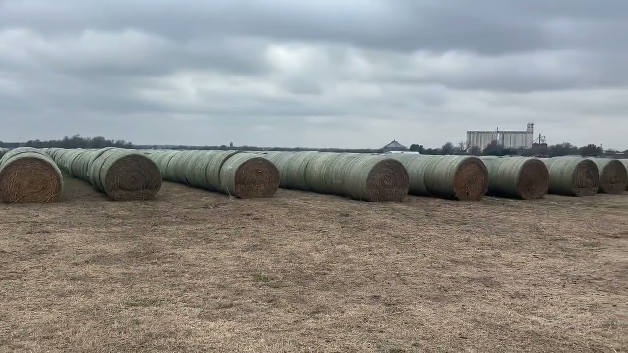 34 Bales Large Round Hay Grazer For Sale
