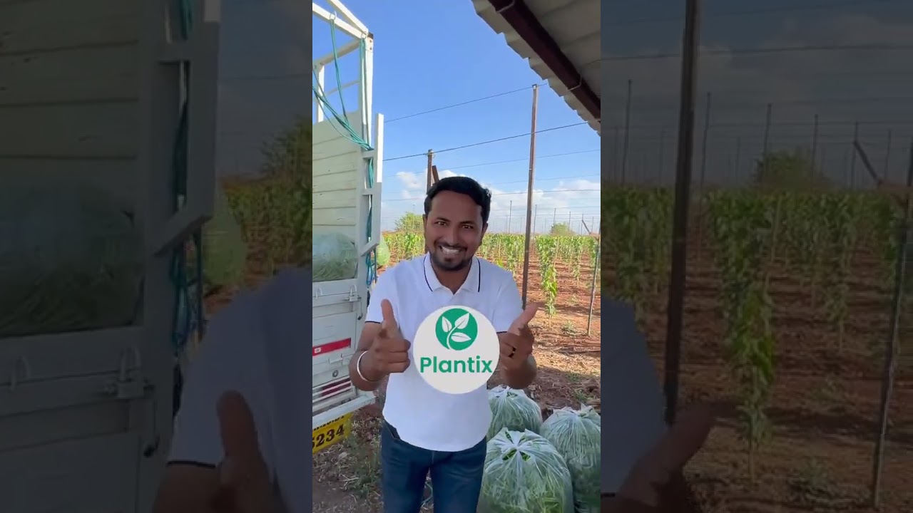 Plantix App-All In One #agriculture #biology #farming #earning #kheti #kishan #farmers #plants