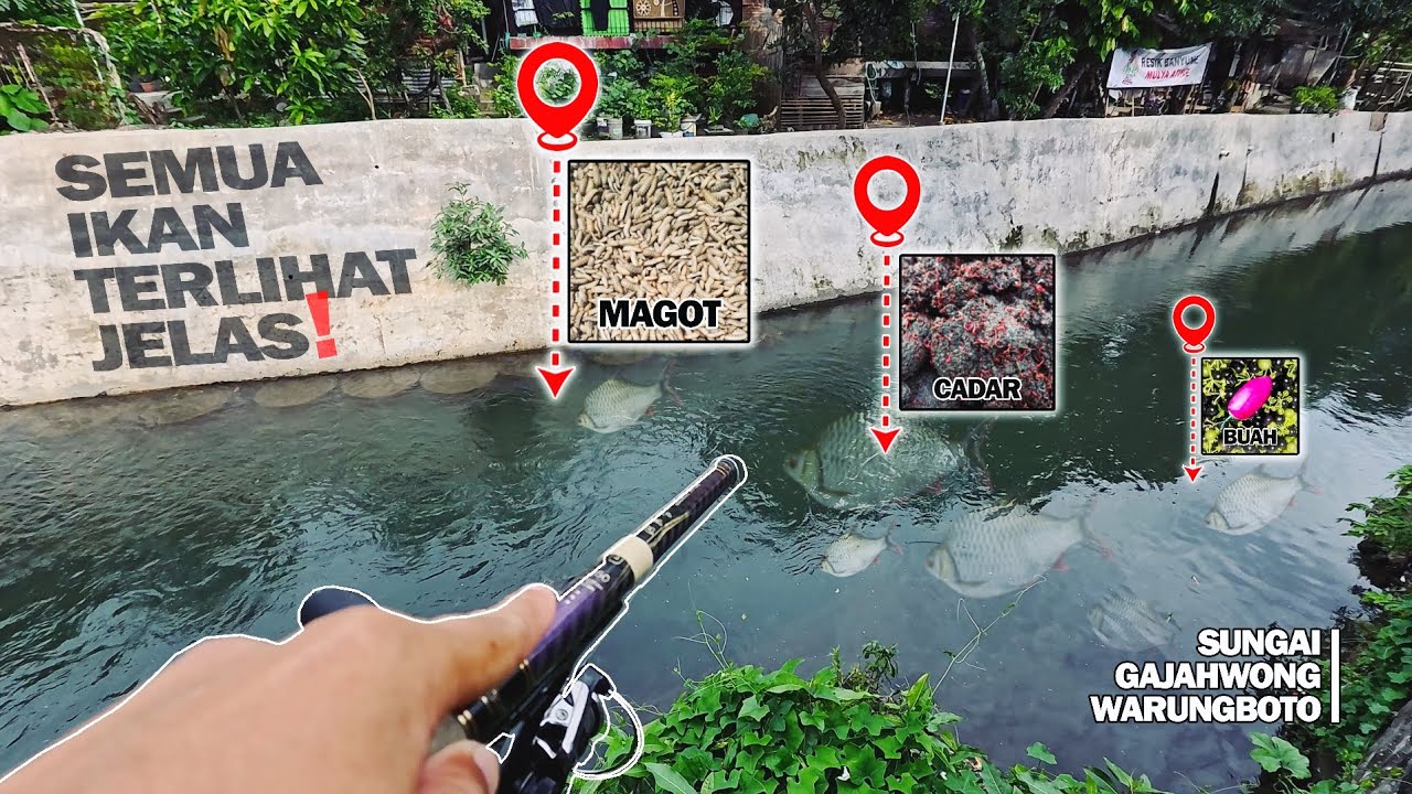 MANCING DENGAN UMPAN VIRAL❗Ikan Menyambar Tanpa Henti