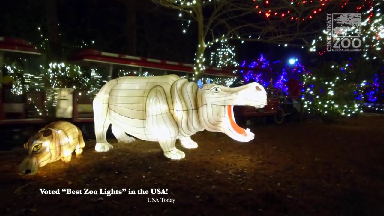 2020 PNC Festival of Lights - Cincinnati Zoo