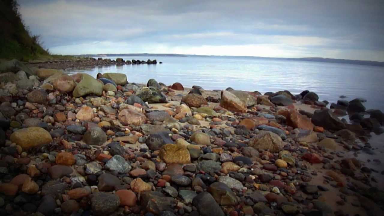 naturfilm trelde næs -  2011 Denmark