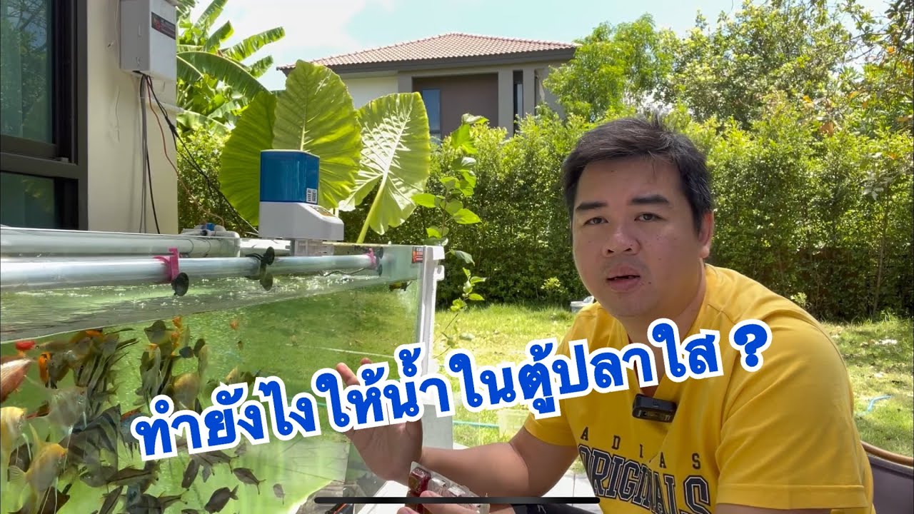 ทำยังไงให้น้ำในตู้ปลาใส ?