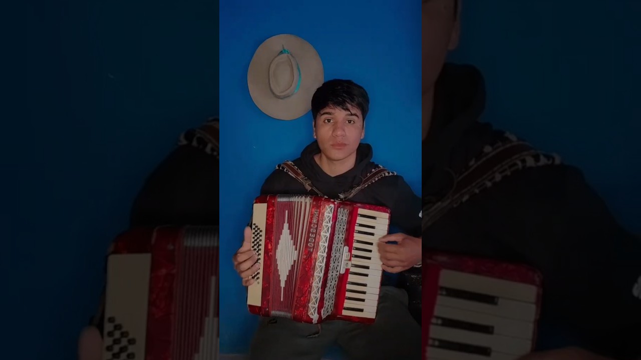 chamame con acordeon paiubrero 🪗🎶