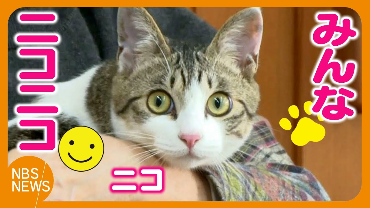 「ニコ」のおかげでみんなニコニコ「笑みの里」
