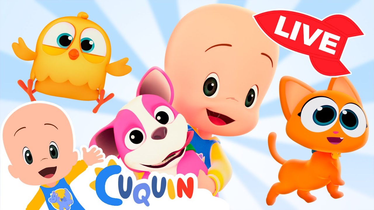 🔴 DIRECTO 🔴 Aprende los colores, los números y las formas con Cuquín | Videos educativos