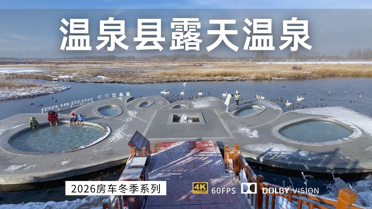 和天鹅一起泡温泉 新疆温泉县真的有免费露天温泉 房车旅行新疆温泉县