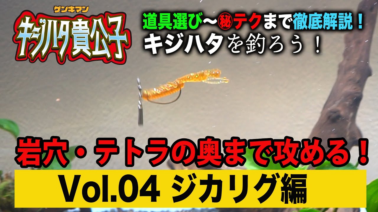 【キジハタ入門⑤ジカリグ】ロックフィッシュには欠かせないジカリグを水中映像で徹底解説。障害物の奥の奥まで攻略。【地球遊び#136】