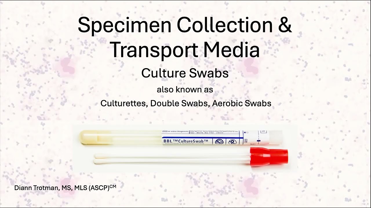 Aerobic Culture Swab Video