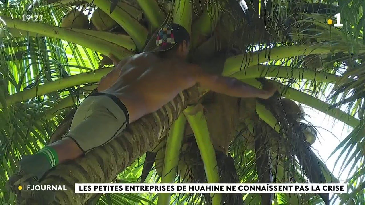 Les petites entreprises de Huahine ne connaissent pas la crise