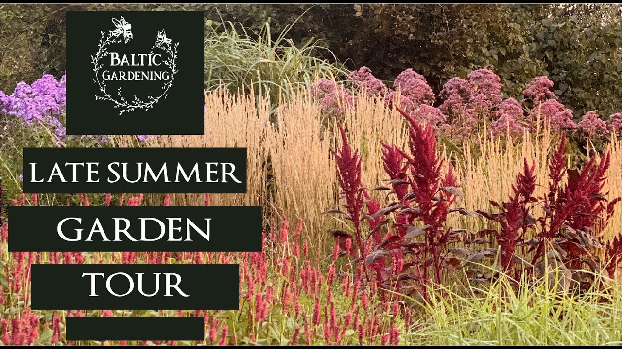 Late summer garden tour. Plant combinations. Garden ideas. Perennial plants. Baltic Gardening