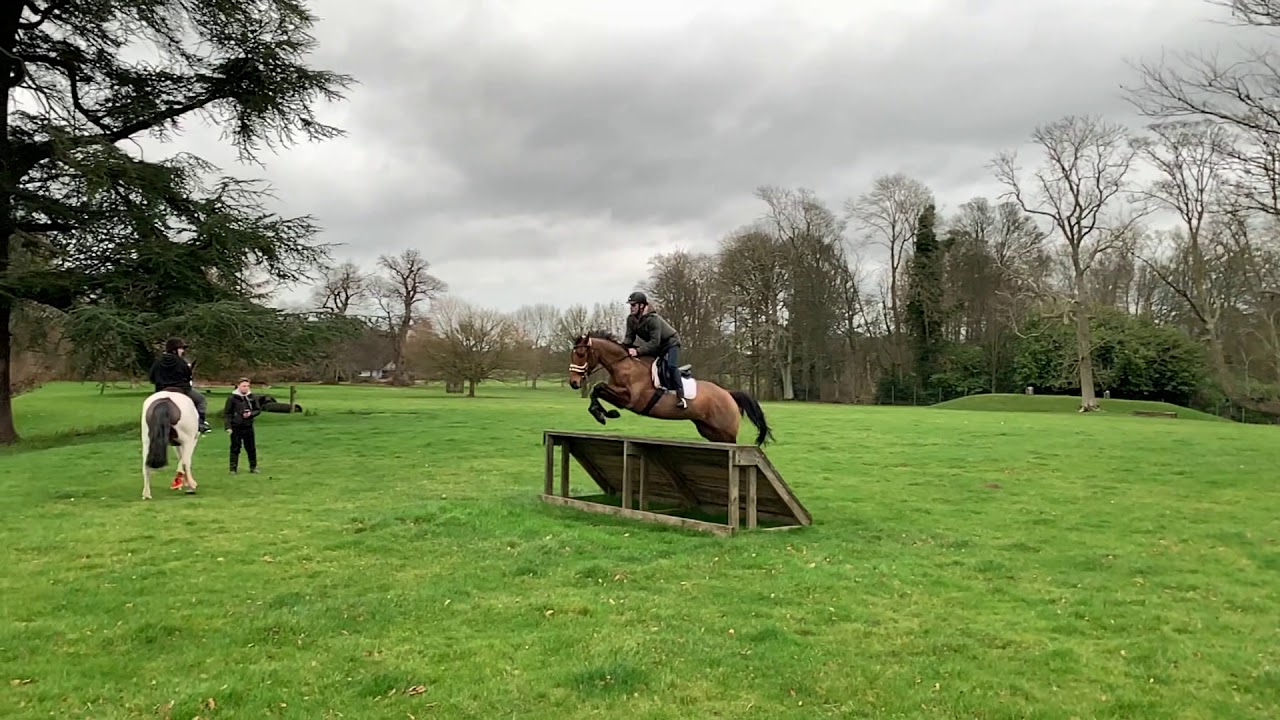 XC TRAINING