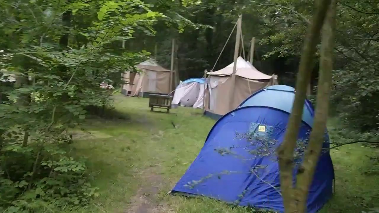 camping vliegenbos amsterdam 2016
