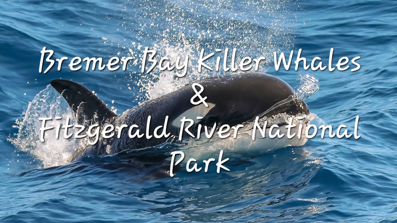 Bremer Bay, Killer Whales & the Amazing Fitzgerald River National Park