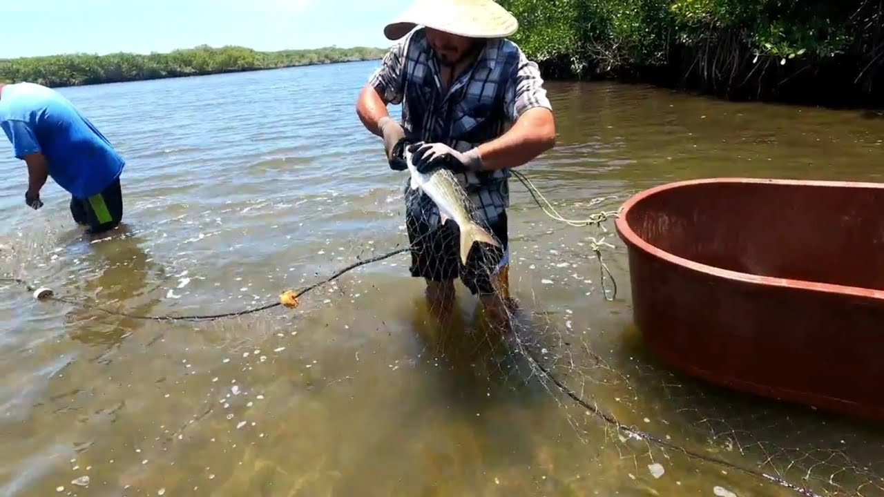 No bajo el agua y así nos fuimos a trabajar 