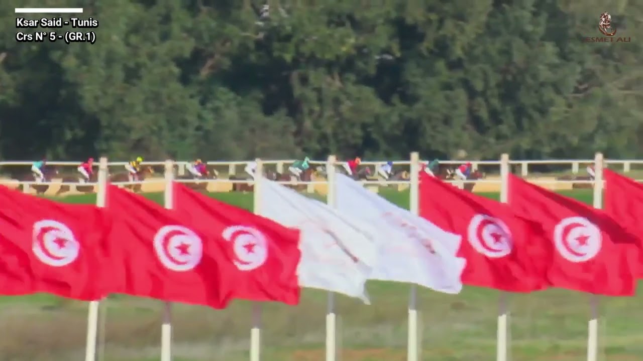 PRIX MOHAMED SALAH BEN HAMMOUDA (GR.1) 2024 Vainqueur NOOF.