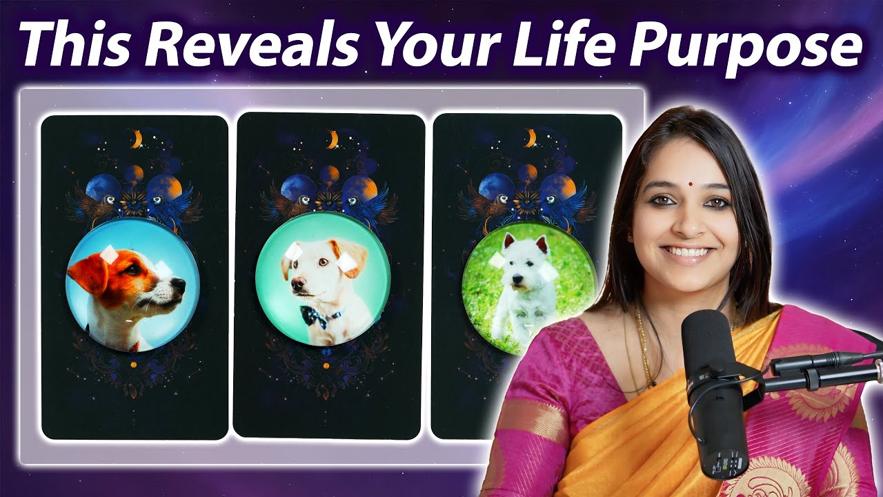 Pick A Card: Your Life Purpose Revealed By Spirit Animals | UniqueTarot1111 | Dr. Rashmi