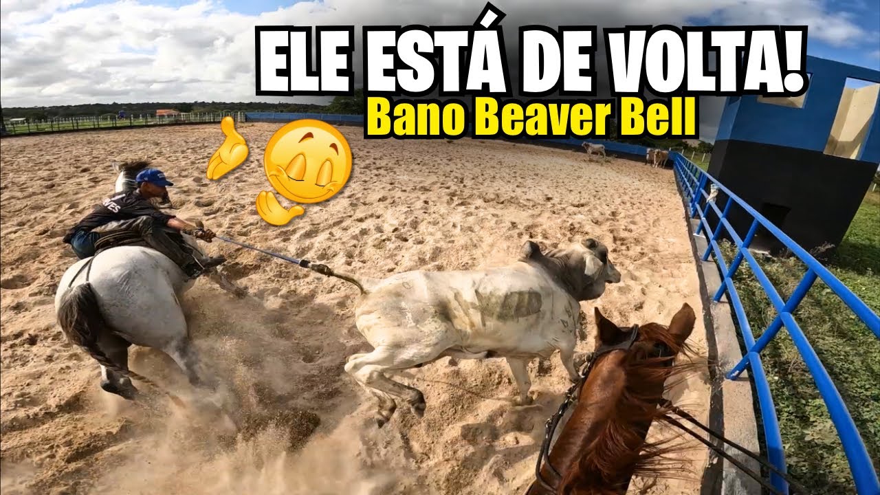 ELE VOLTOU, BANO BEAVER BELL! (Vlog no Haras CB)