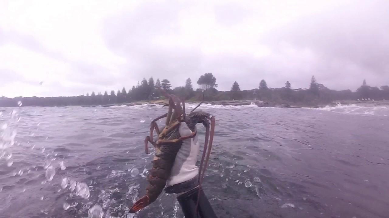 Lobsters Vol 2