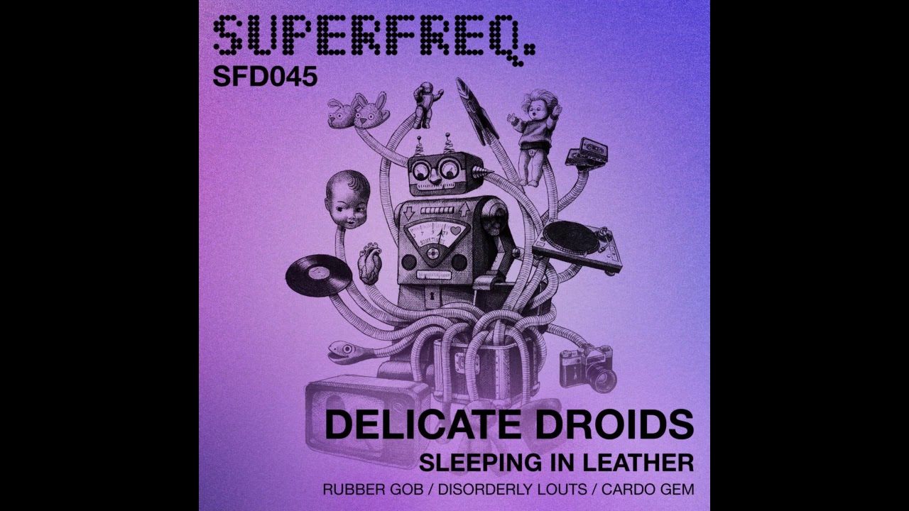 Delicate Droids - Cardo Gem (Original Mix)