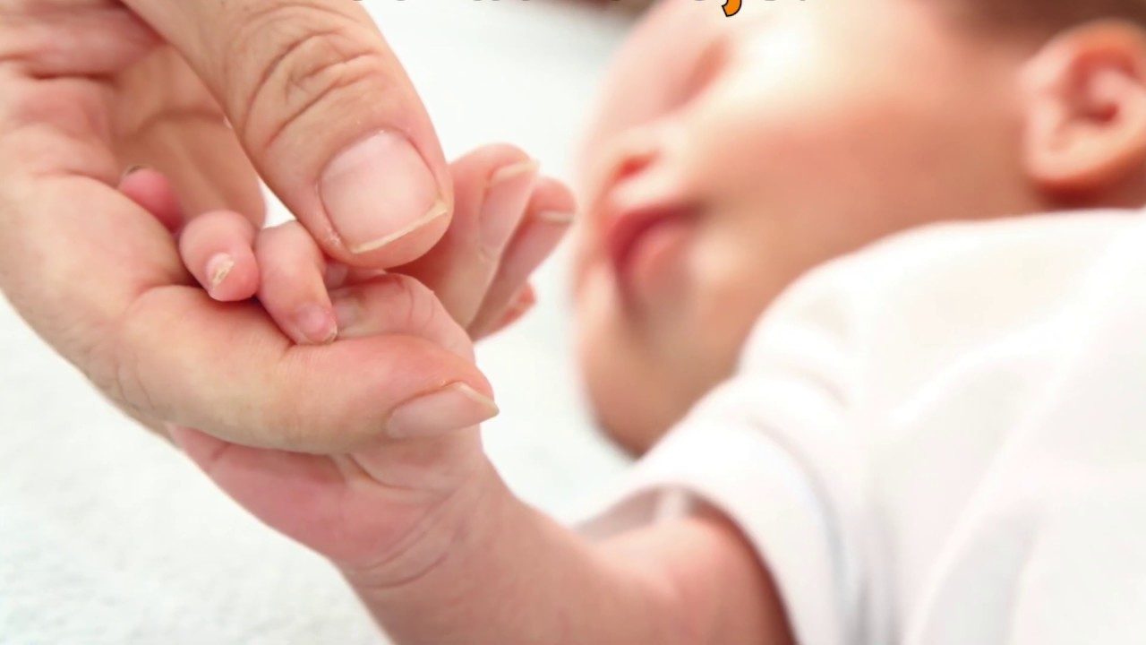 Kako se pripremiti za zdravu trudnoću? // Healthy pregnancy