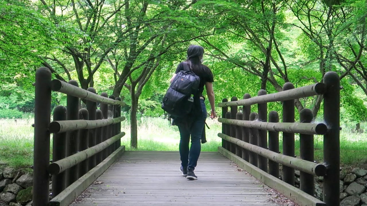 A stroll through a Korean National Park - Landscape Photography
