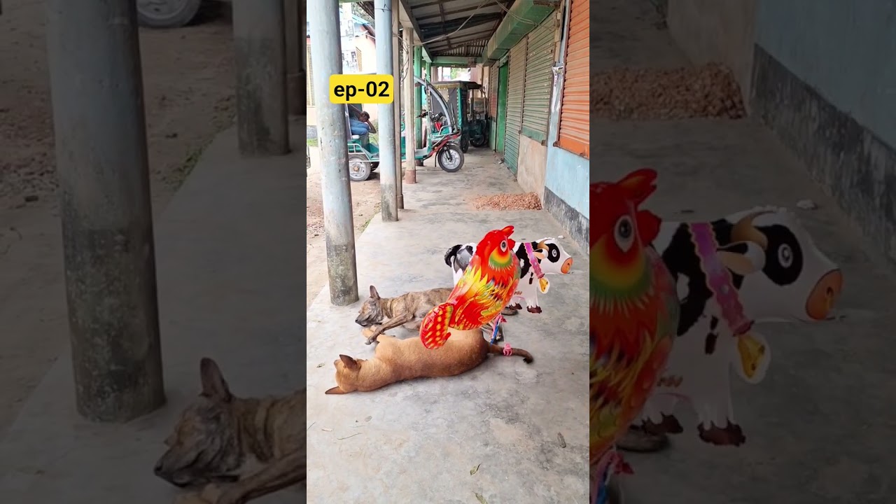 ep-02 #funny #comedy #dog #funnydogs