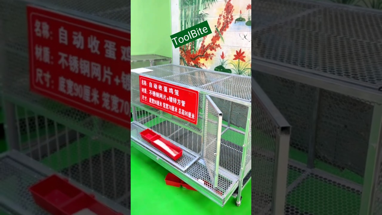 Efficient Chicken Cage Design | Collect Eggs Automatically & Feed Easily #chicken #farming