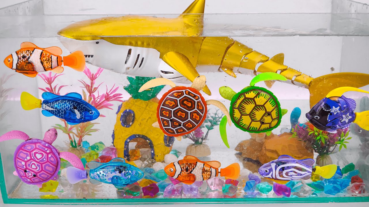 [🐠toy asmr🐠] ZURU Robo Alive Shark & Robo Turtle Swimming | Satisfying with Unboxing 🔇 No talking 🔇
