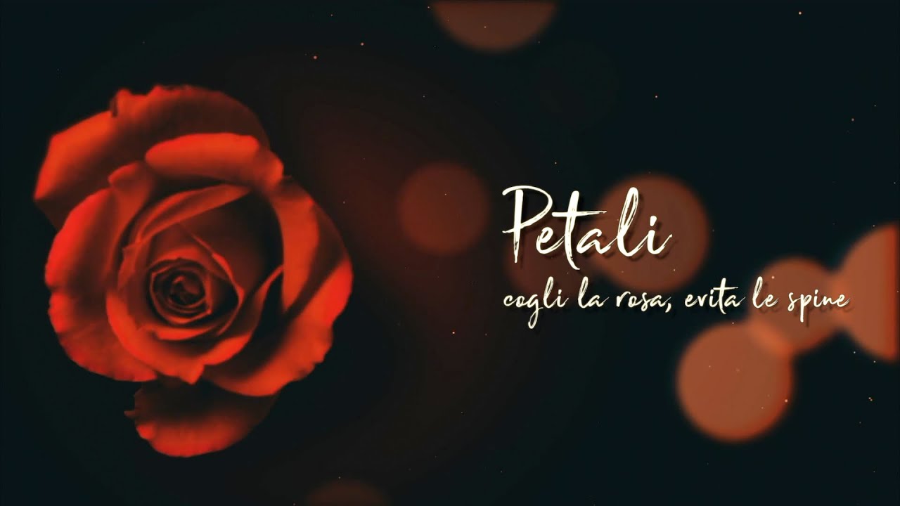 PETALI  - Cogli la rosa, evita le spine