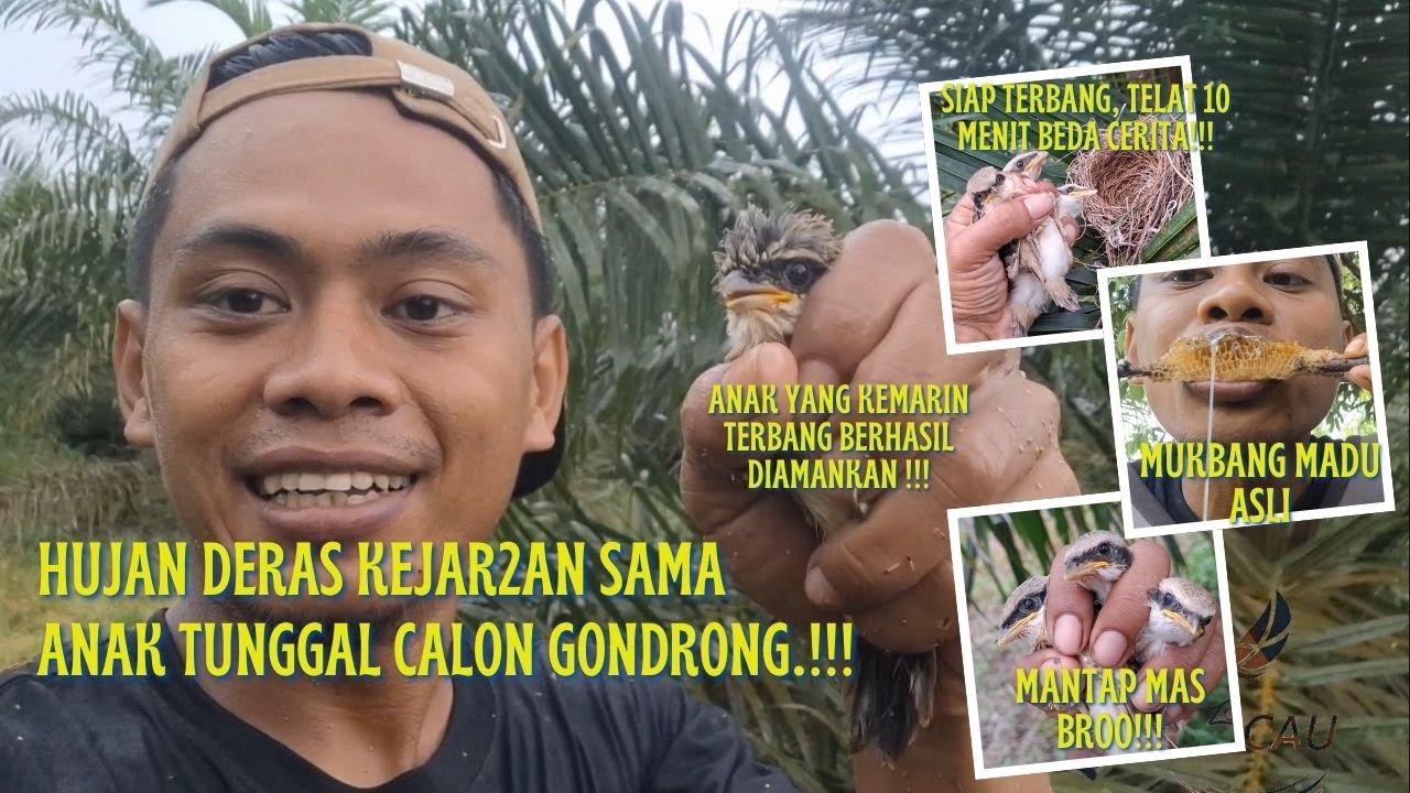 PERJUANGAN TAK SIA-SIA, HUJAN PANAS NAMUN HASIL MEMUASKAN MAS BROOO