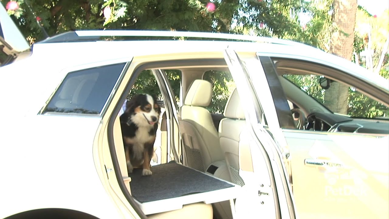 The Ultimate Pet Travel Accessory (DrsFosterSmith)
