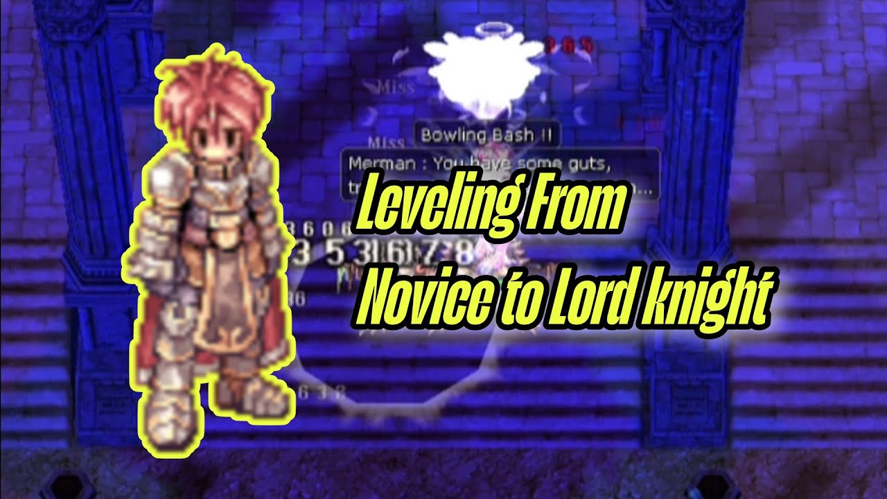 Leveling From novice to Lord Knight | FREERO
