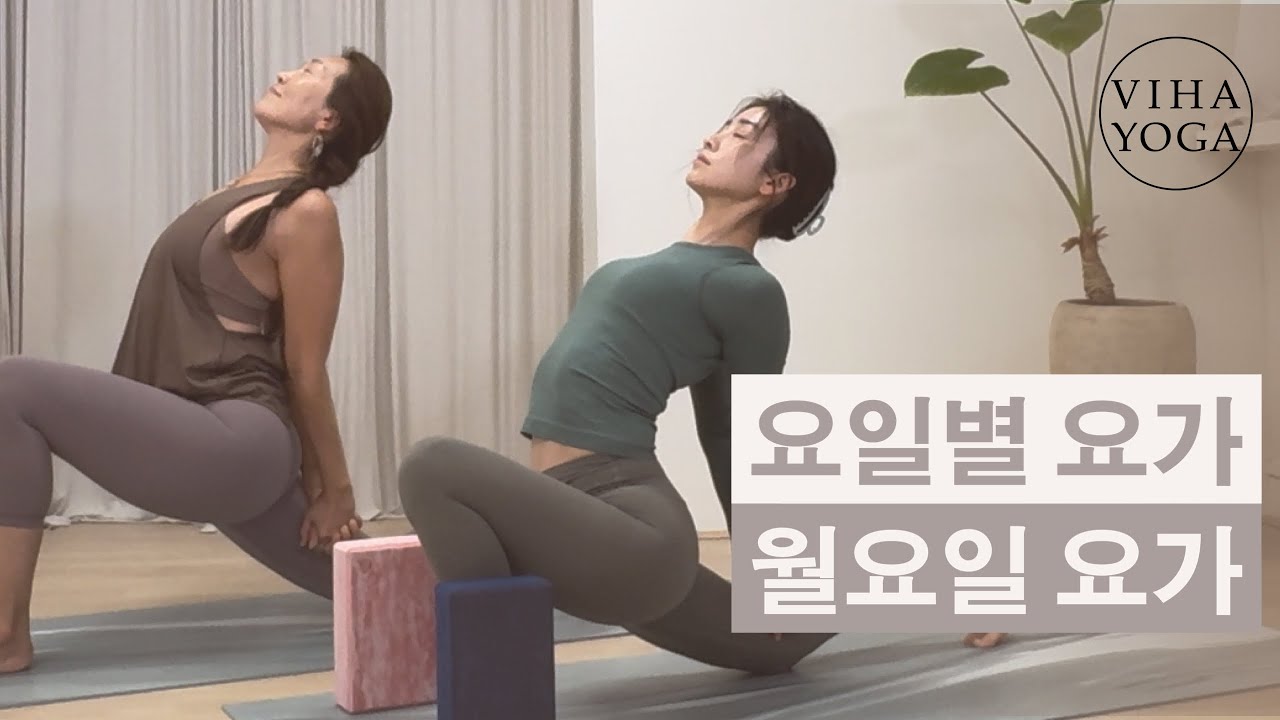 요일별요가 / 월요일요가 / 빈야사 플로우 / 비하요가