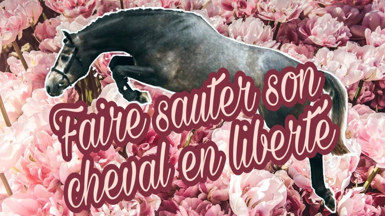 Comment faire sauter son cheval en liberté