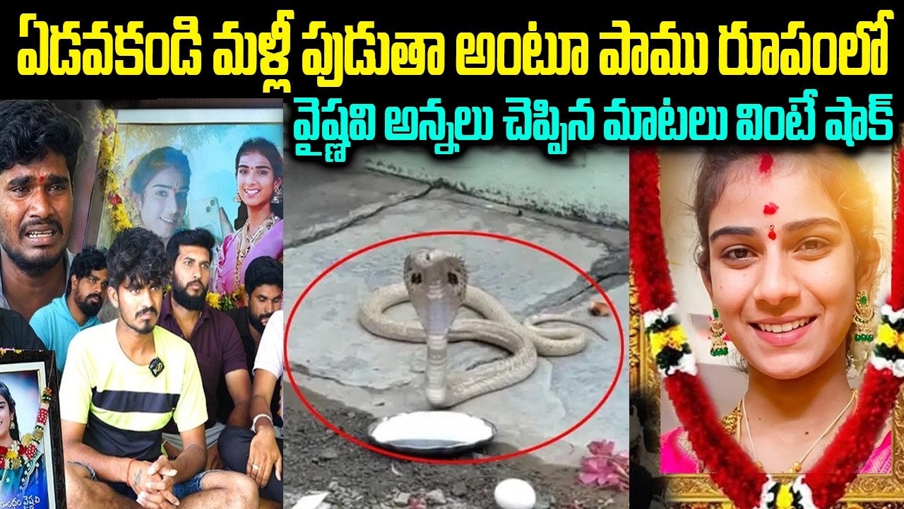 మళ్ళీ పుడతా అంటూ పాము రూపంలో వైష్ణవి | Youtuber Vaishnavi Latest News in Telugu Chitramala