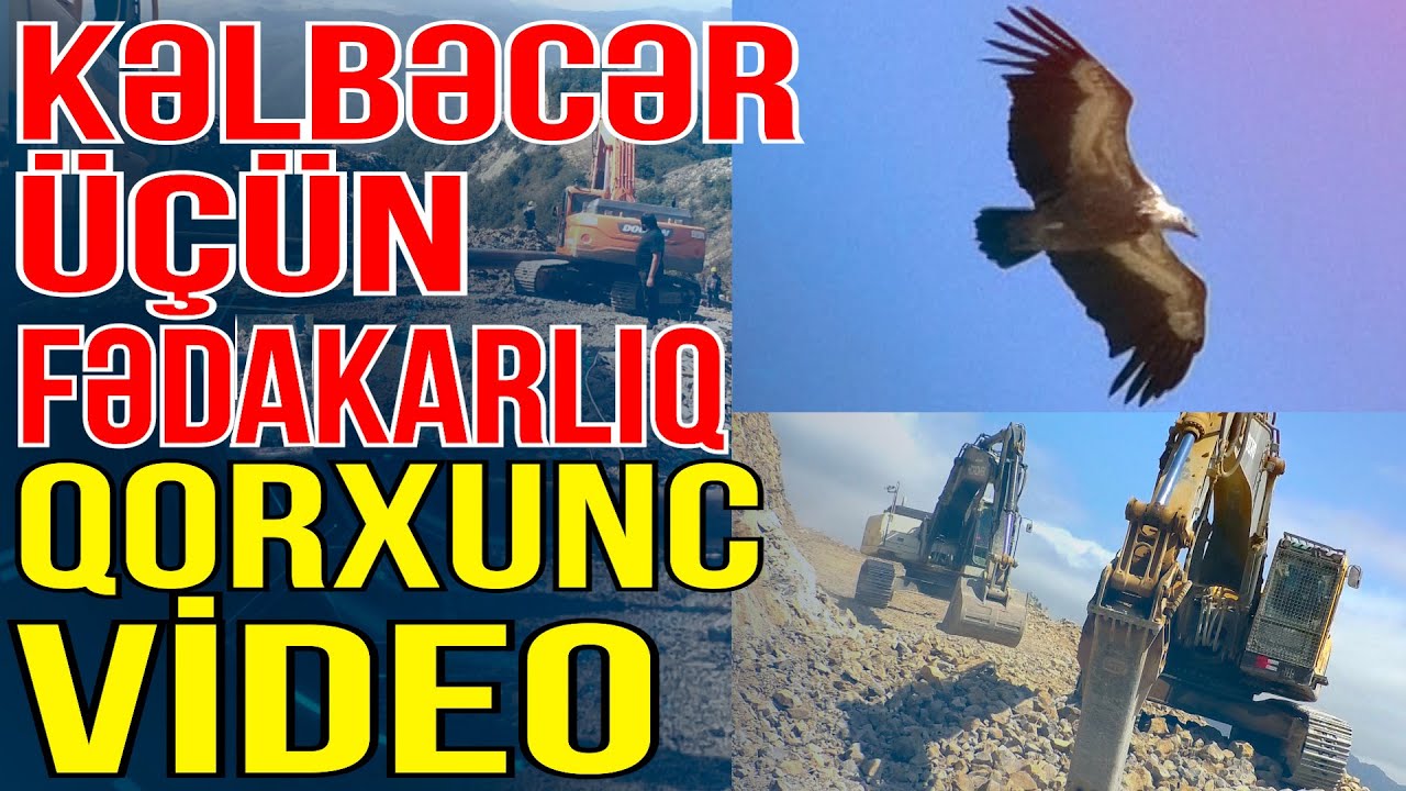 Kəlbəcər üçün FƏDAKARLIQ - Qorxunc VİDEO - Media Turk TV