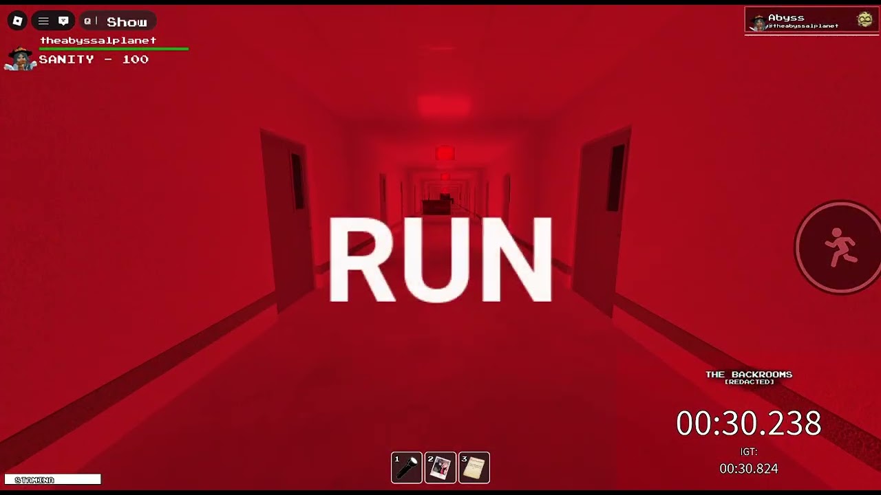 You cheated ending speedrun