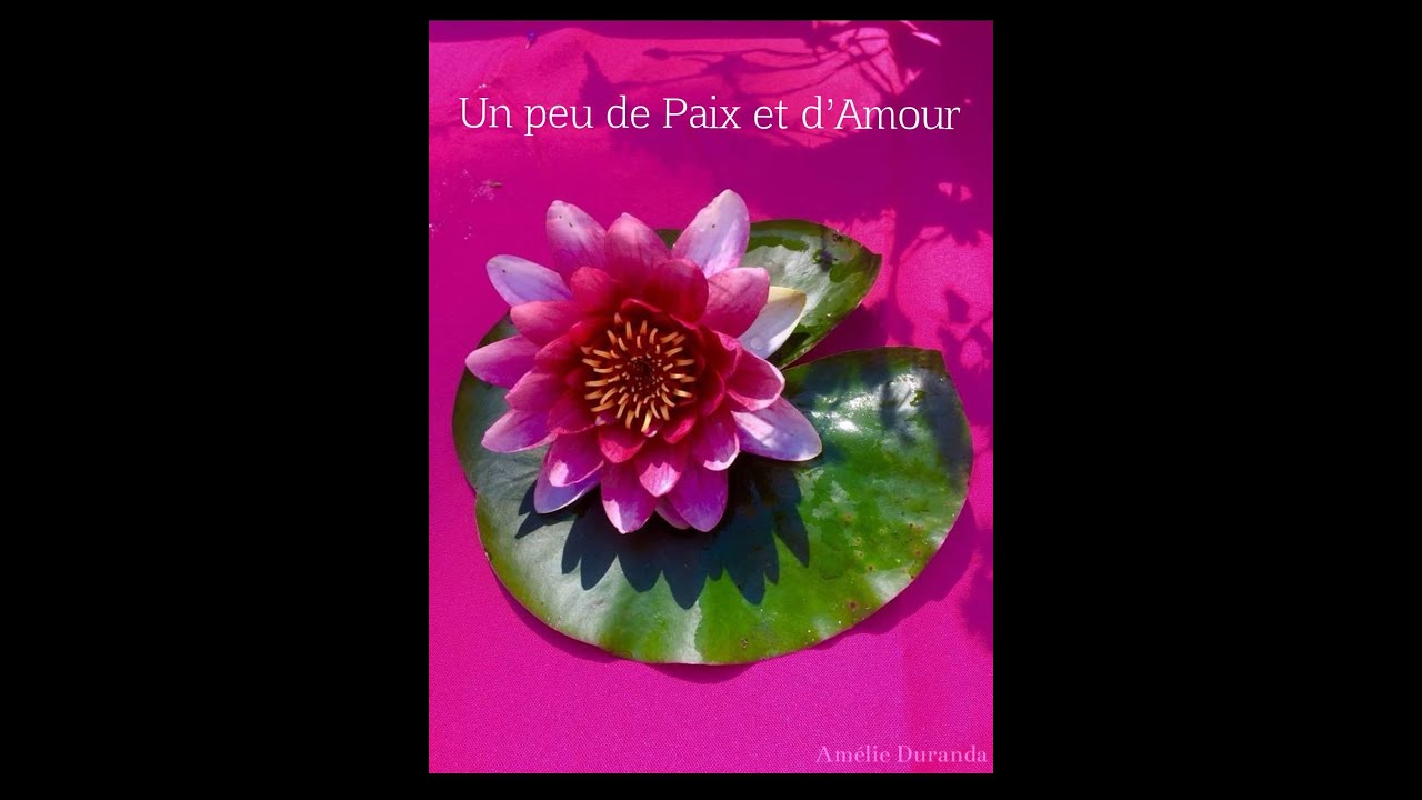 Un peu de Paix et d'Amour - Méditation
