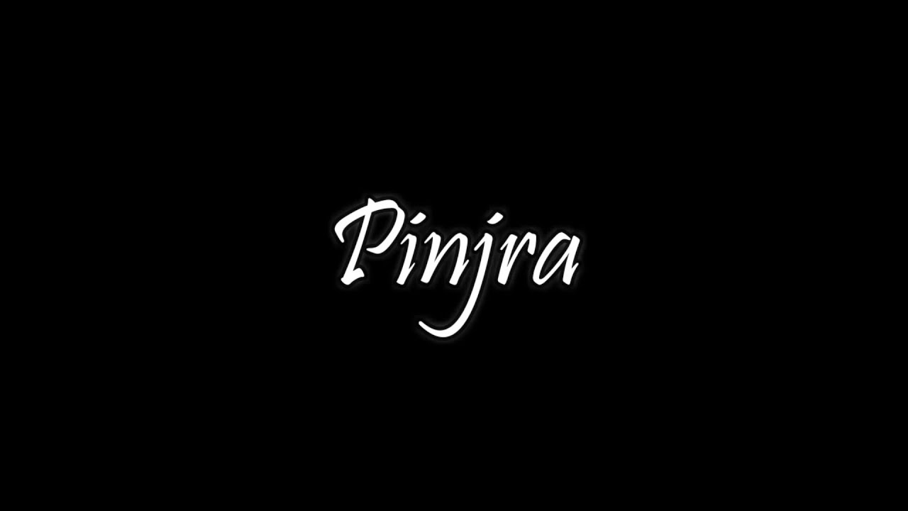Pinjra , performed at Punjab University | Naveen Chourey